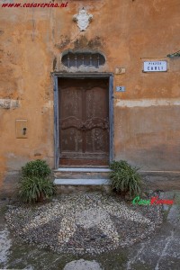 IMG 6523
